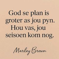 TikTok Account - https://p16-sg.tiktokcdn.com/tos-alisg-avt-0068/15529313e142c08d477abcdb2ff1ee8d~tplv-tiktokx-cropcenter:200:200.jpeg