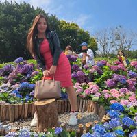 TikTok Account - https://p16-sg.tiktokcdn.com/tos-alisg-avt-0068/155bd56bce7a4fce8c8529083cc2d1dd~tplv-tiktokx-cropcenter:200:200.jpeg