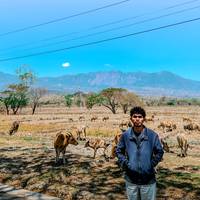 TikTok Account - https://p16-sg.tiktokcdn.com/tos-alisg-avt-0068/158b38ee3490ce3b4f921cf9eb969287~tplv-tiktokx-cropcenter-q:200:200:q70.jpg