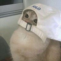 janghyy.un