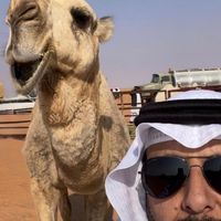 TikTok Account - https://p16-sg.tiktokcdn.com/tos-alisg-avt-0068/182eb914f409ac5b6a7008b931a6f5bc~tplv-tiktokx-cropcenter:200:200.jpeg