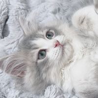 milk_watage