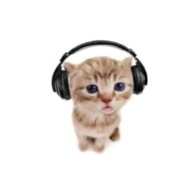 🎧~♪ - suara asli - https.enngen