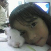 araujoyp_