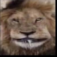 TikTok Account Photo