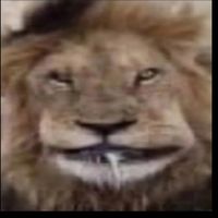 TikTok Account Photo
