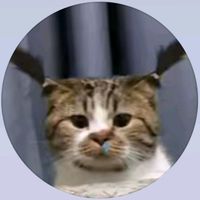 nielsotee817