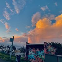 TikTok Account - https://p16-sg.tiktokcdn.com/tos-alisg-avt-0068/1c863dc439347fd588da74f1726afc3b~tplv-tiktokx-cropcenter:200:200.jpeg