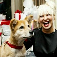 TikTok Account - https://p16-sg.tiktokcdn.com/tos-alisg-avt-0068/1d9d390e2b99d7e2ce13002ae0bde549~tplv-tiktokx-cropcenter:200:200.jpeg