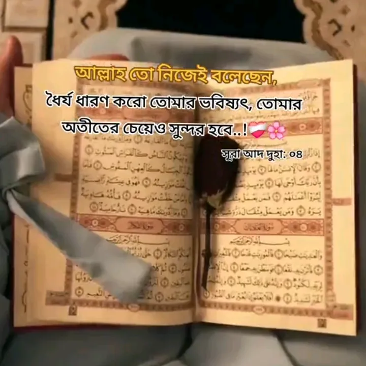 allahorgolam06