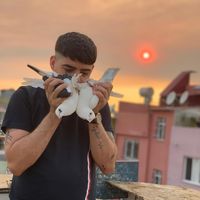 TikTok Account Photo