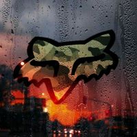 TikTok Account - https://p16-sg.tiktokcdn.com/tos-alisg-avt-0068/20d29bd82bebe6f92b414eeb7510dd8e~tplv-tiktokx-cropcenter:200:200.jpeg