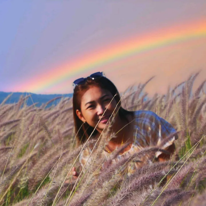 aom_sompis