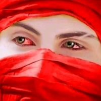 TikTok Account - https://p16-sg.tiktokcdn.com/tos-alisg-avt-0068/2116a1db7be79763ee66e3a5a2f85b98~tplv-tiktokx-cropcenter:200:200.jpeg