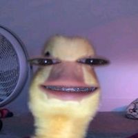 Sound image