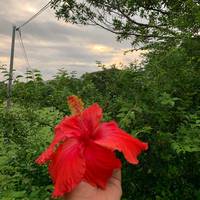TikTok Account Photo