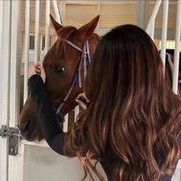 TikTok Account - https://p16-sg.tiktokcdn.com/tos-alisg-avt-0068/222c31d31d2667db40717f82ed536d0a~tplv-tiktokx-cropcenter:200:200.jpeg