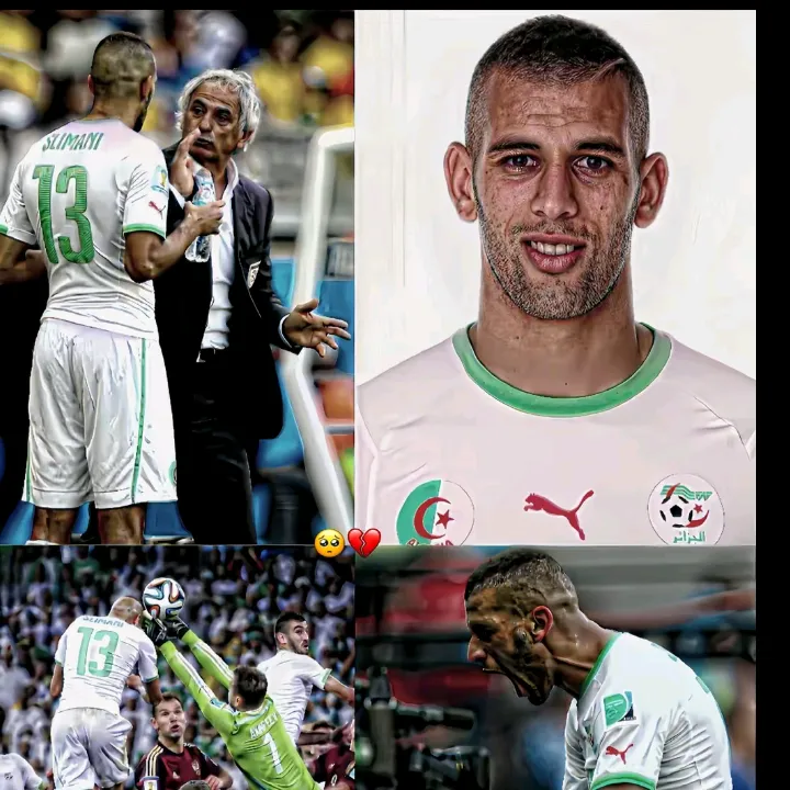 mayssa8206