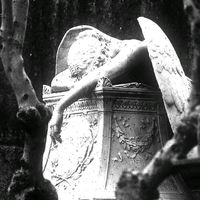 original sound - 3vigheben