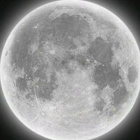 TikTok Account - https://p16-sg.tiktokcdn.com/tos-alisg-avt-0068/245e1aaa8ecfcfa5fabb4a38ccf18b92~tplv-tiktokx-cropcenter:200:200.jpeg