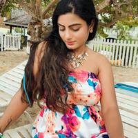 TikTok Account Photo