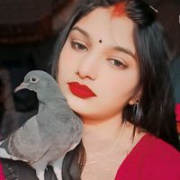 TikTok Account - https://p16-sg.tiktokcdn.com/tos-alisg-avt-0068/24dbe747775e87f1a6e8572317a26c07~tplv-tiktokx-cropcenter:200:200.jpeg