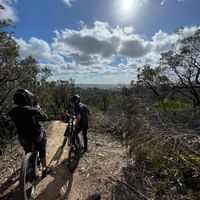 curtishillmtb