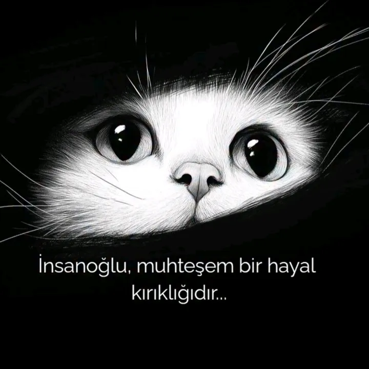 gece_siyahinci