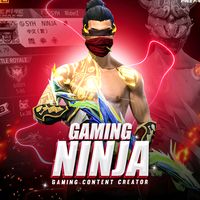 syhninja