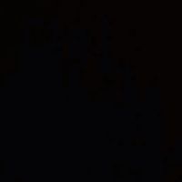 111_aass