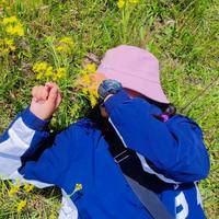 TikTok Account - https://p16-sg.tiktokcdn.com/tos-alisg-avt-0068/26c99c4b096c1336b6746df17b4e1e13~tplv-tiktokx-cropcenter-q:200:200:q70.jpg