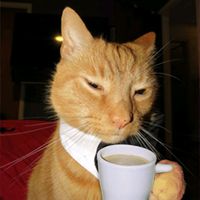 TikTok Account - https://p16-sg.tiktokcdn.com/tos-alisg-avt-0068/273ef43d600dc01b4f6684562f501417~tplv-tiktokx-cropcenter:200:200.jpeg