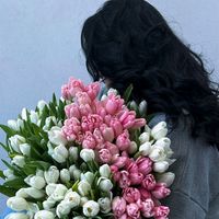 TikTok Account - https://p16-sg.tiktokcdn.com/tos-alisg-avt-0068/2742d03cea1453818cce5dab635f3889~tplv-tiktokx-cropcenter:200:200.jpeg