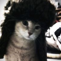 TikTok Account - https://p16-sg.tiktokcdn.com/tos-alisg-avt-0068/27f84c403ef2b83bba1a0649b5643791~tplv-tiktokx-cropcenter:200:200.jpeg