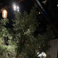 sultan_800088