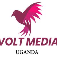voltmedia256