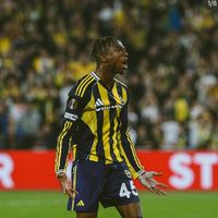 orijinal ses