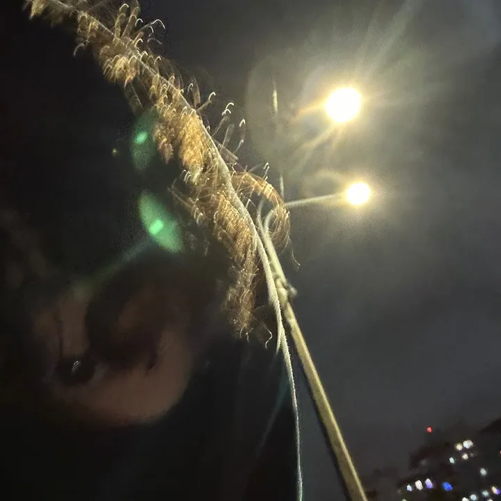 1_rag1m_1