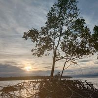 TikTok Account - https://p16-sg.tiktokcdn.com/tos-alisg-avt-0068/28f2f118b422c45f46e21f975a5742f3~tplv-tiktokx-cropcenter:200:200.jpeg