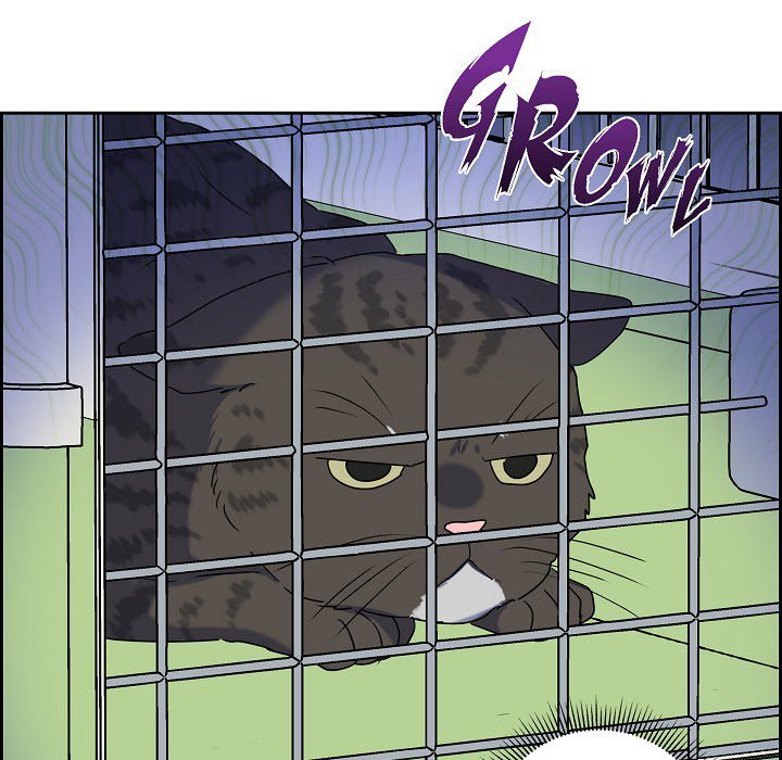 Lovers, Cats, and the Killer - episode 29 - 67