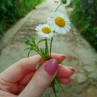 geethi_