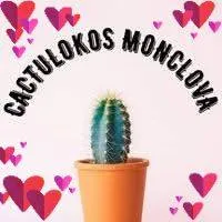 cactulokos.monclo