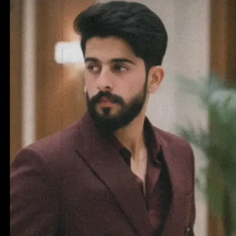 syedhamza8849