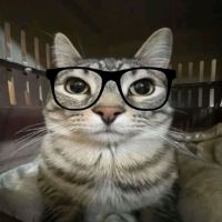 TikTok Account - https://p16-sg.tiktokcdn.com/tos-alisg-avt-0068/2b791ad1acebb65baa883cb16f078a5b~tplv-tiktokx-cropcenter:200:200.jpeg