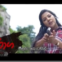 TikTok Account - https://p16-sg.tiktokcdn.com/tos-alisg-avt-0068/2bc669564cada3886bc71ac028f32ffe~tplv-tiktokx-cropcenter:200:200.jpeg