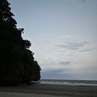 Sound image
