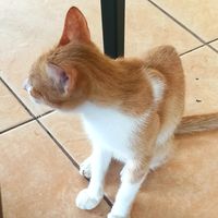 TikTok Account - https://p16-sg.tiktokcdn.com/tos-alisg-avt-0068/2c4ba9fff6397c0379d5af6e14ebf380~tplv-tiktokx-cropcenter:200:200.jpeg