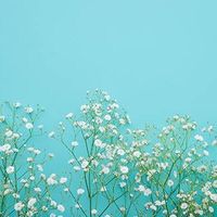オリジナル楽曲 - てぃーーーーー