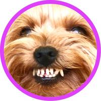 TikTok Account Photo