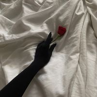 qlvz1